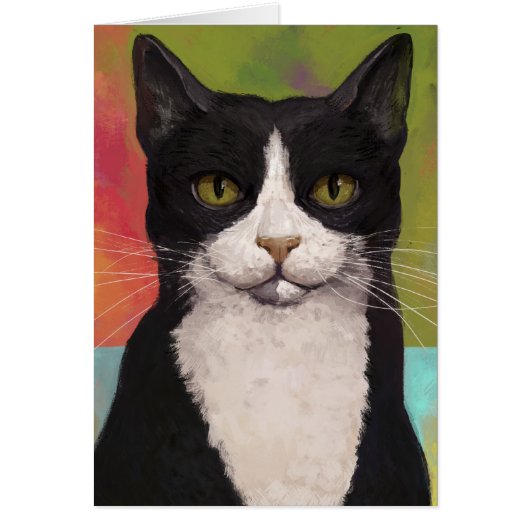 Colorful Tuxedo Cat Cards (Front)