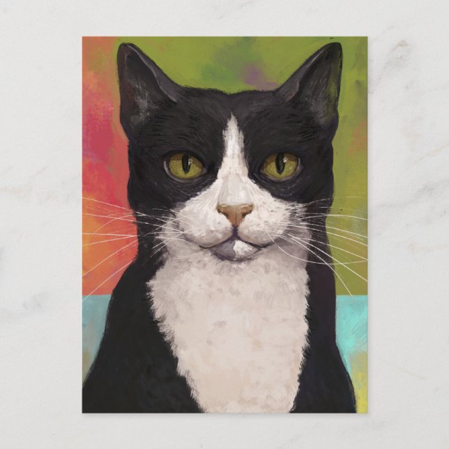 Colorful Tuxedo Cat Postcard (Front)
