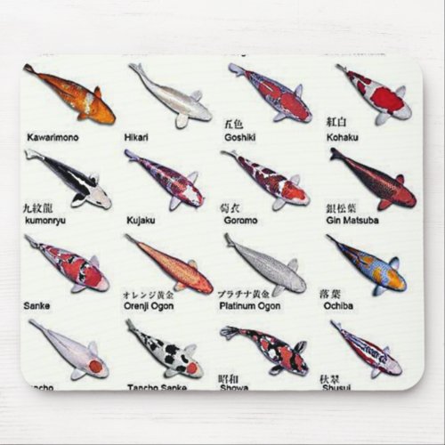 Colorful Varieties of Koi Fish Nishikigoi Drawing Mouse Pad