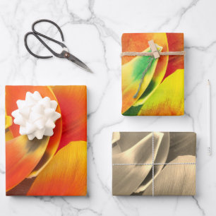 Colorful Variety Tulip Petal Photo All Occasion Wrapping Paper Sheets
