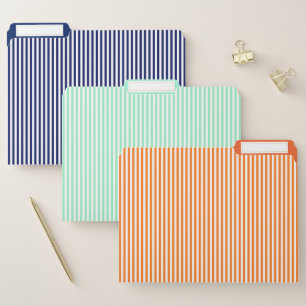 Colorful Vertical Striped File Folder