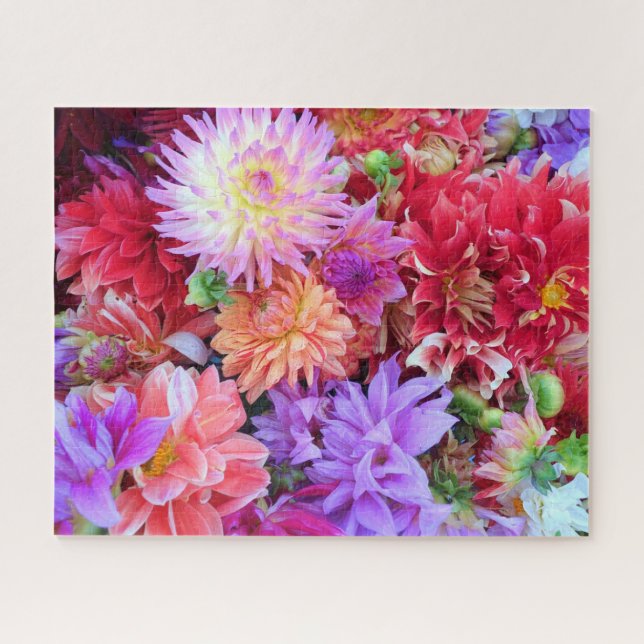 Colorful Vibrant Dahlia Flowers  Jigsaw Puzzle (Horizontal)
