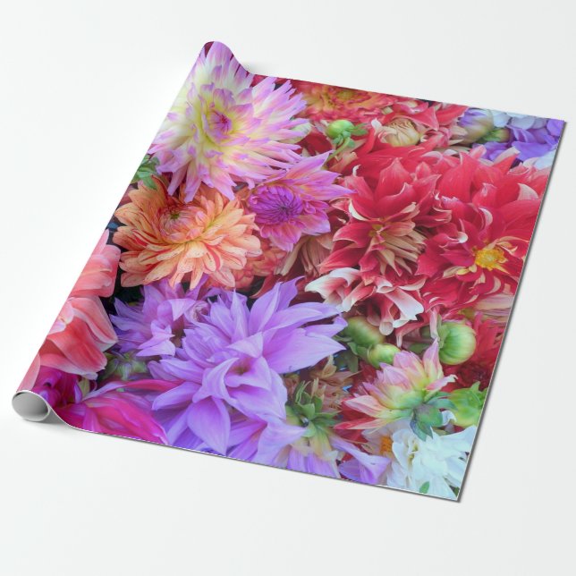 Colorful Vibrant Dahlia Flowers   Wrapping Paper (Unrolled)
