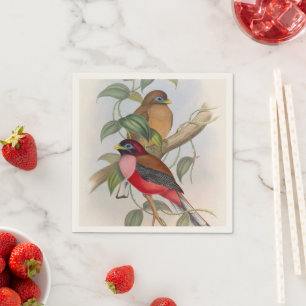 Colorful Vintage Birds Illustration Paper Napkin