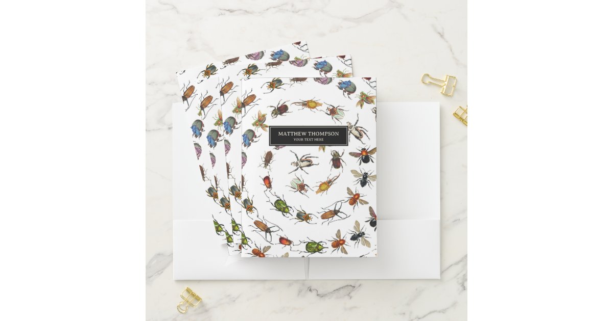 Colorful Vintage Bugs & Beetles Pattern Pocket Folder | Zazzle