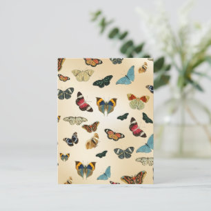 colorful vintage Butterfly illustration Pattern Postcard