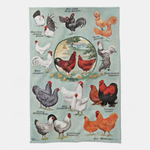 Colorful Vintage Chicken Breeds  Kitchen Towel