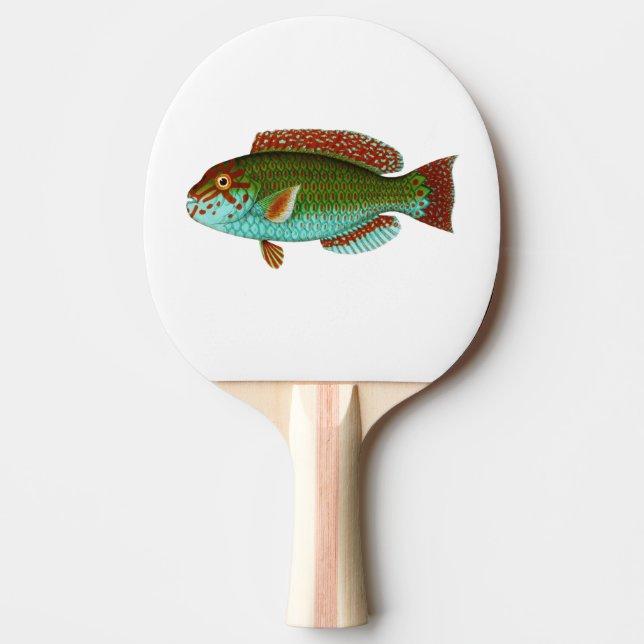 Colorful Vintage Fish Ping-Pong Paddle (Front)