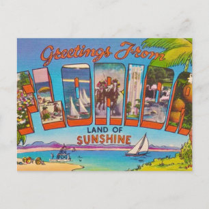 Colorful Vintage Florida Postcard