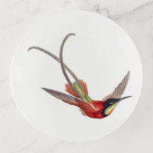 Colorful vintage hummingbird
