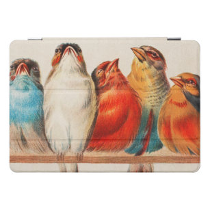 Colorful vintage illustration of five little birds iPad pro cover