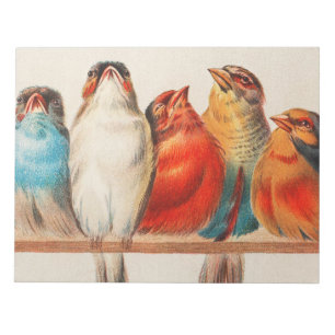 Colorful vintage illustration of five little birds notepad