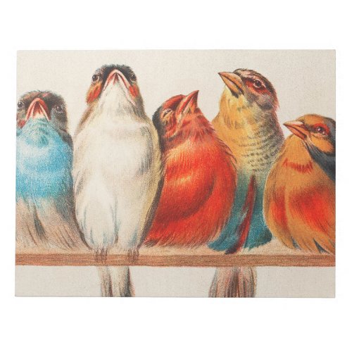 Colorful vintage illustration of five little birds notepad