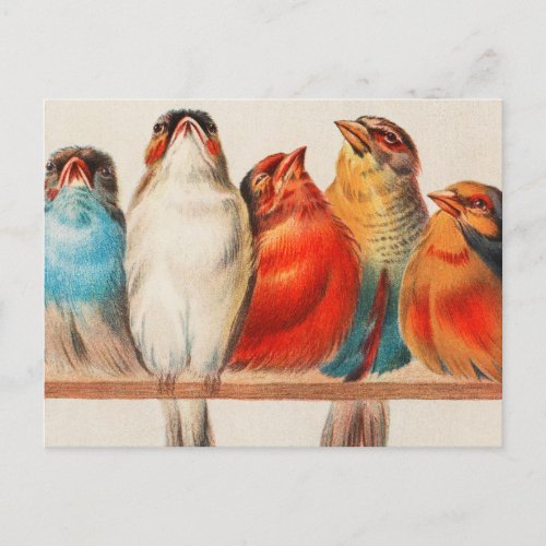 Colorful vintage illustration of five little birds postcard