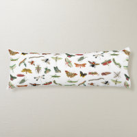 Colorful Vintage Insect Illustration Pattern