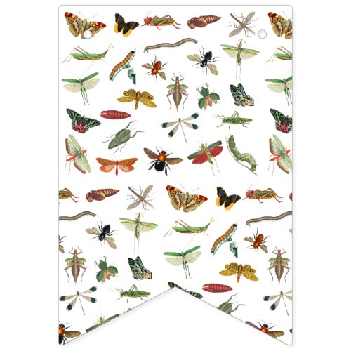 Colorful Vintage Insect Illustration Pattern  Bunting Flags