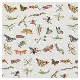 Colorful Vintage Insect Illustration Pattern  Fabric