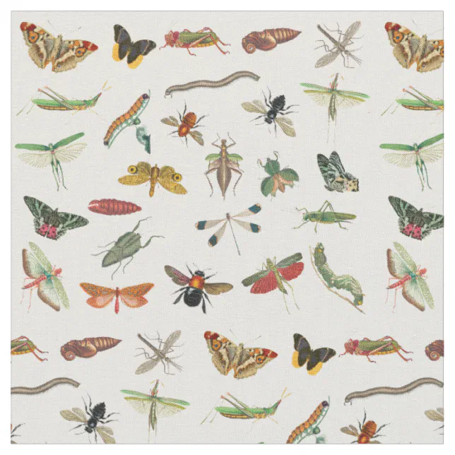 Colorful Vintage Insect Illustration Pattern Fabric | Zazzle