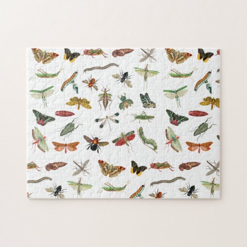 Colorful Vintage Insect Illustration Pattern  Jigsaw Puzzle