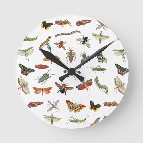 Colorful Vintage Insect Illustration Pattern  Round Clock