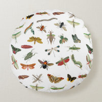 Colorful Vintage Insect Illustration Pattern