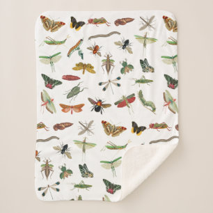 Colorful Vintage Insect Illustration Pattern Sherpa Blanket