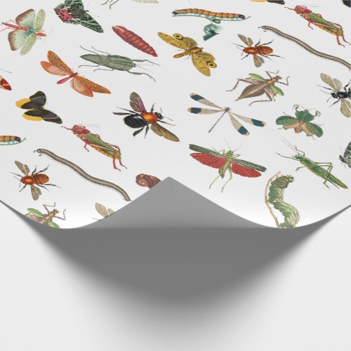 Colorful Vintage Insect Illustration Pattern Wrapping Paper