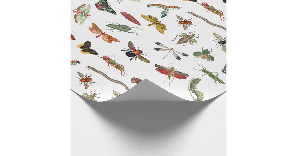 Colorful Vintage Insect Illustration Pattern Wrapping Paper | Zazzle
