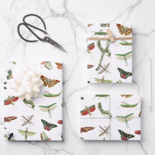Colorful Vintage Insect Illustration Pattern  Wrapping Paper Sheets