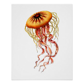 Colorful Vintage Jellyfish Poster