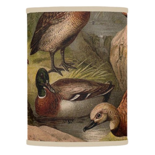 Colorful vintage painting of ducks lamp shade