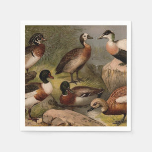 Colorful vintage painting of ducks napkins