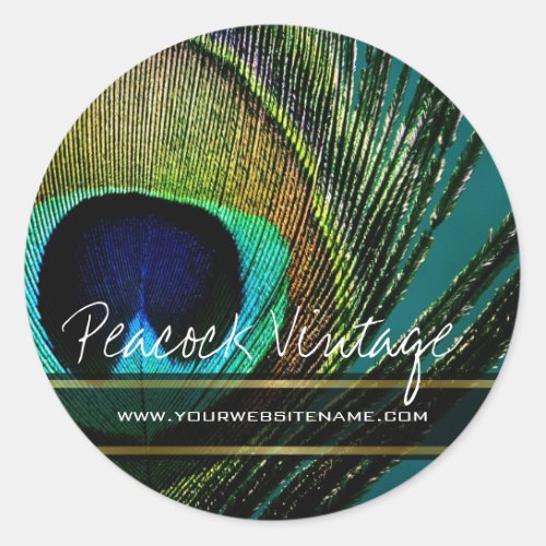 Colorful Vintage Peacock Feather Stylish Photo Classic Round Sticker