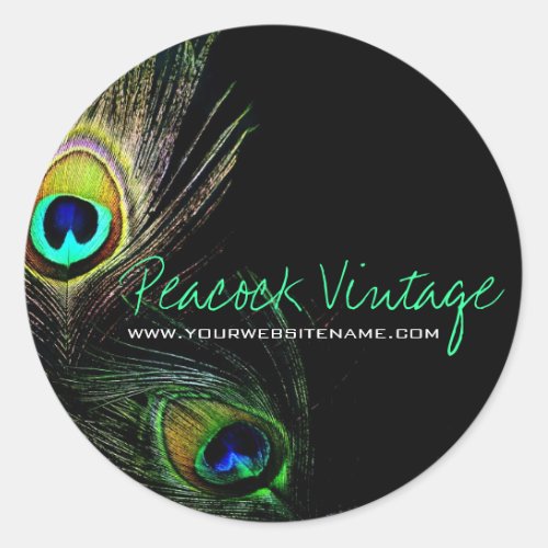 Colorful Vintage Peacock Feathers Stylish Photo Classic Round Sticker