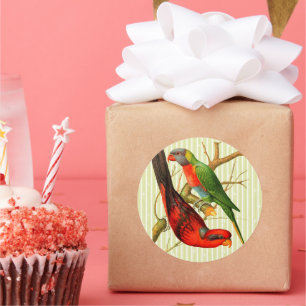 Colorful Vintage Red & Green Parrots Illustration Classic Round Sticker