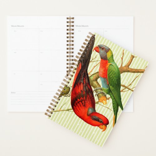 Colorful Vintage Red  Green Parrots Illustration Planner