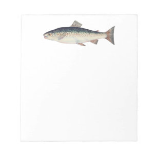 Colorful vintage salmon illustration notepad