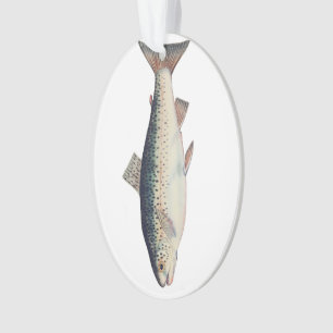 Colorful vintage salmon illustration ornament