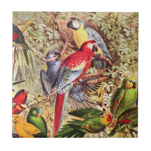 Colorful Vintage Tropical Birds Parrots Ceramic Tile