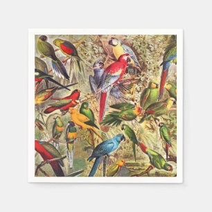 Colorful Vintage Tropical Birds Parrots Napkins