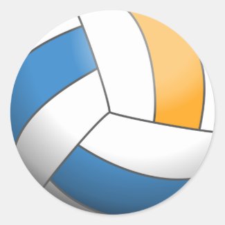 Colorful Volleyball Ball