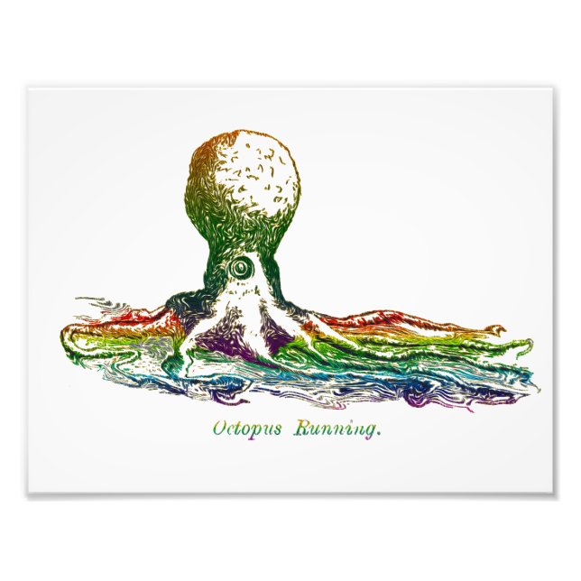 Colorful Wall Art - Octopus Running (Front)