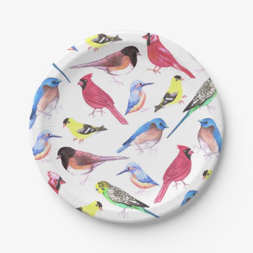 Colorful watercolor birds in multicolor paper plates