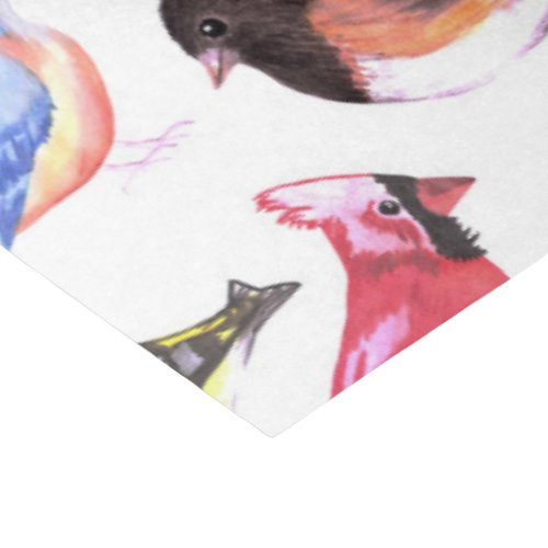 Colorful watercolor birds in multicolor tissue paper