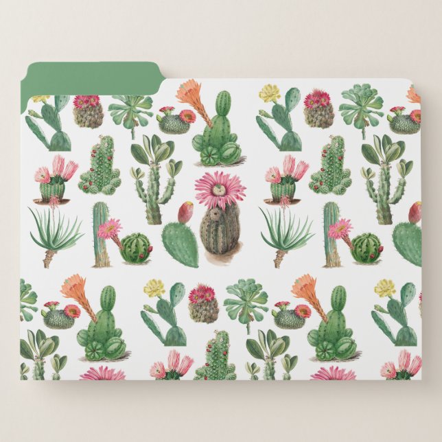 Colorful Watercolor Cactus & Succulents Flowers File Folder