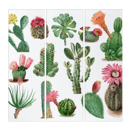 Colorful Watercolor Cactus  Succulents Flowers Triptych