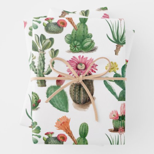Colorful Watercolor Cactus  Succulents Flowers  Wrapping Paper Sheets