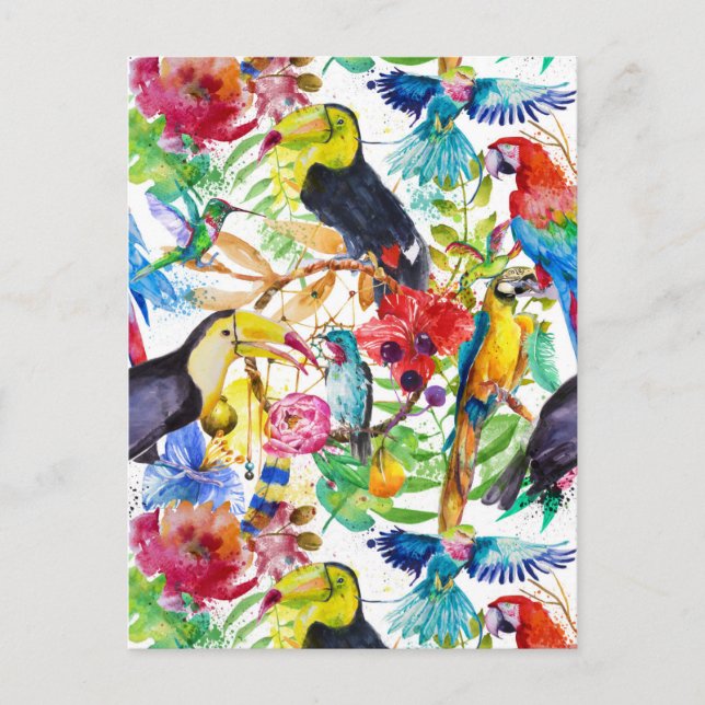 Colorful Watercolor Parrots 2 Postcard (Front)