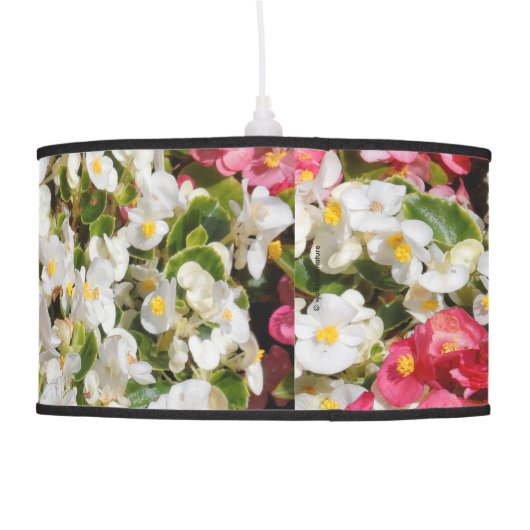 Colorful Wax Begonias Pendant Lamp (Back)