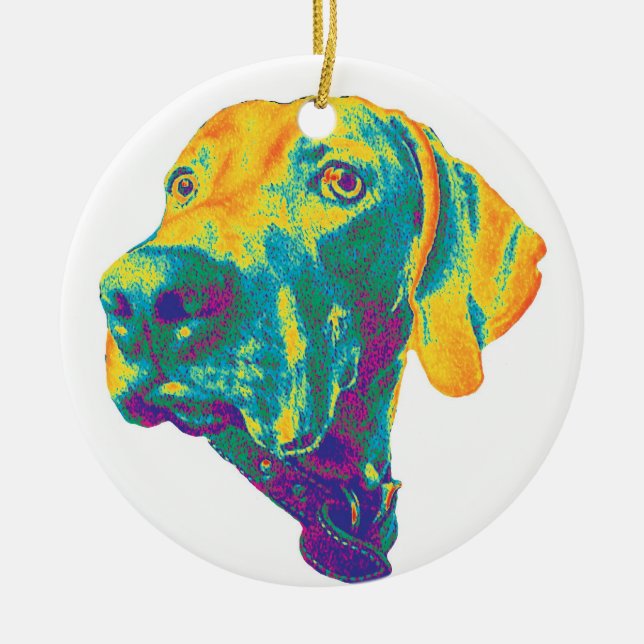 Colorful weimaraner ornament (Front)